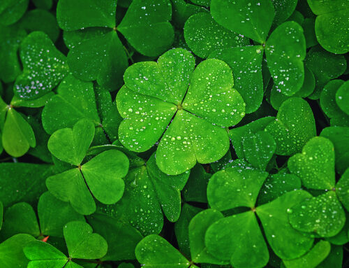 Is Wealth Accumulation Tied to Luck?